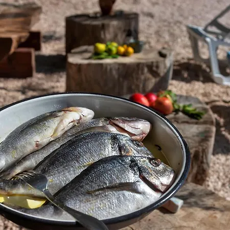 Robinzon Nikola Apartman