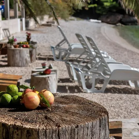 Robinzon Nikola Bogomolje