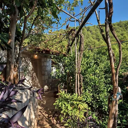 Robinzon Nikola Bogomolje